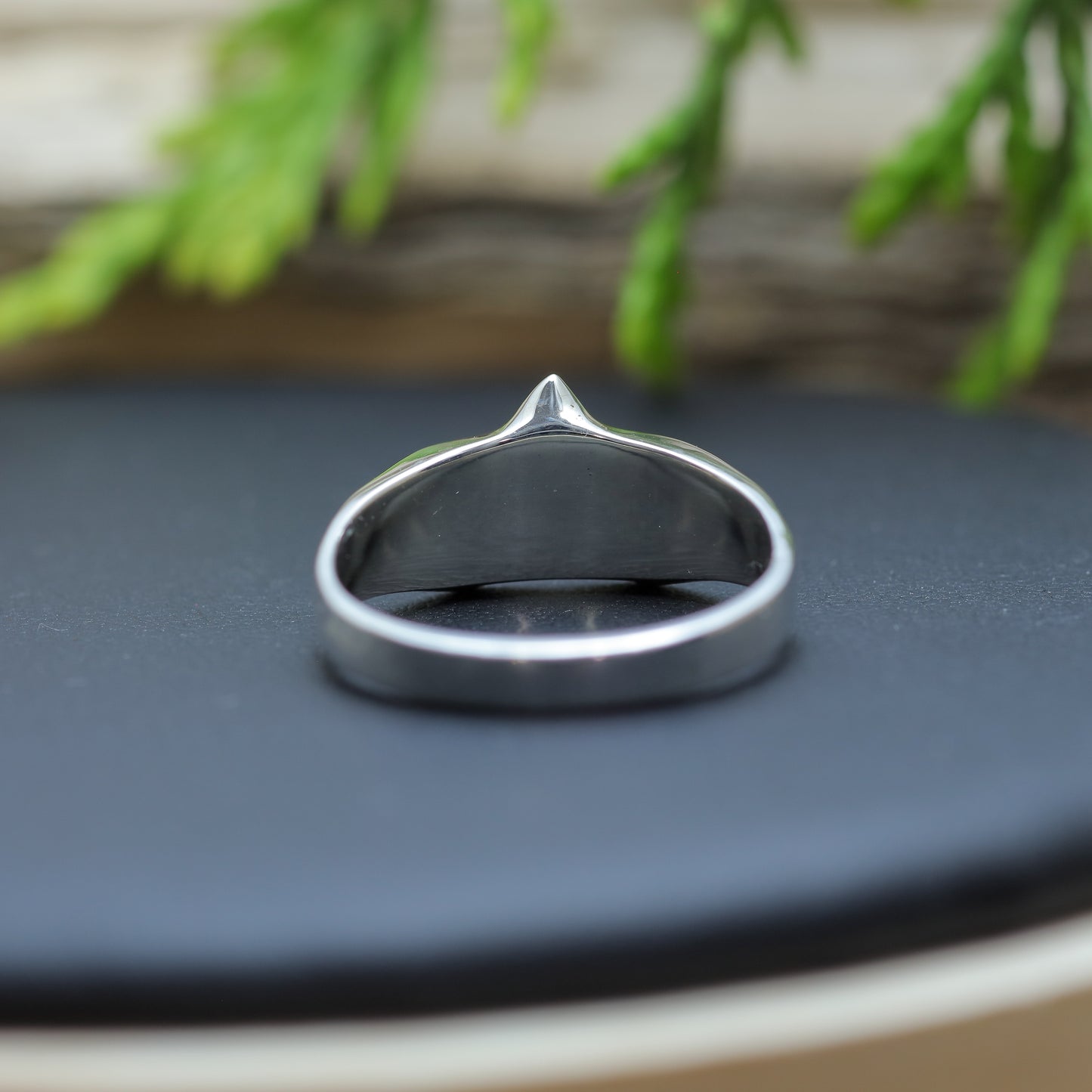 Star Signet Argentium Silver Ring