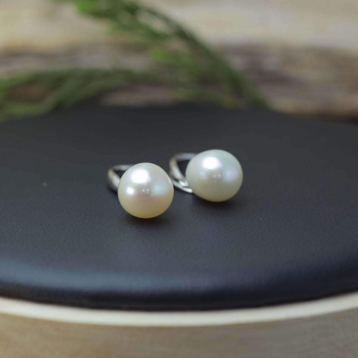 White Cultured Pearl Tapered Hook Earrings
